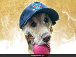 Year Ender 2021: ऐसे 5 सबसे दिलचस्प लम्हें, जिसे देख फैन्स की खुशी का ठिकाना न रहा- Video Year Ender 2021: ऐसे 5 सबसे दिलचस्प लम्हें, जिसे देख फैन्स की खुशी का ठिकाना न रहा- Video