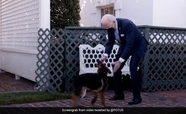 Video: US President Joe Biden Welcomes New Puppy To The White House