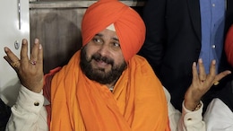 "<i>Dhongi Baba</i>": Navjot Singh Sidhu Tears Into Mohammad Amir As Another Prediction Fails