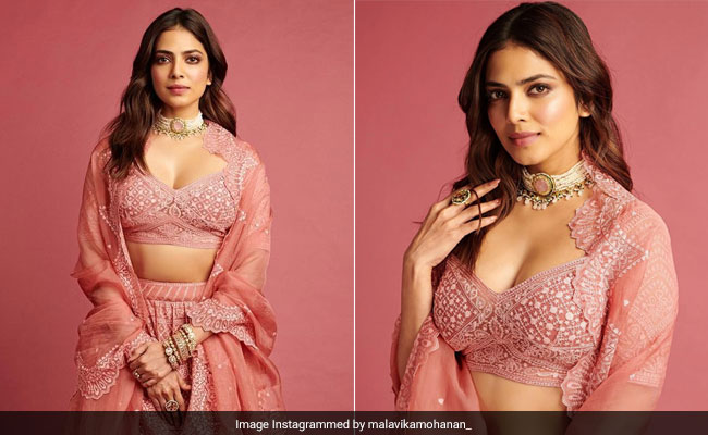 Malavika Mohanan In The "Prettiest Pink <i>Lehenga</i>" Is All The Wedding Guest Fashion Inspiration You Need