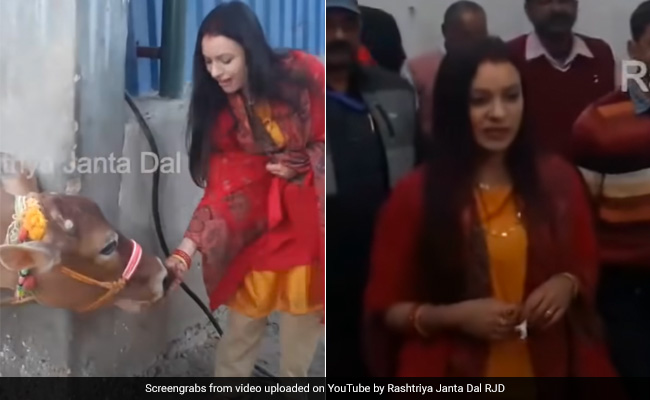 ससुराल में गाय-बकरियों को दुलारती दिखीं तेजस्वी की पत्नी राशेल, सास राबड़ी देवी भी साथ में आई नजर