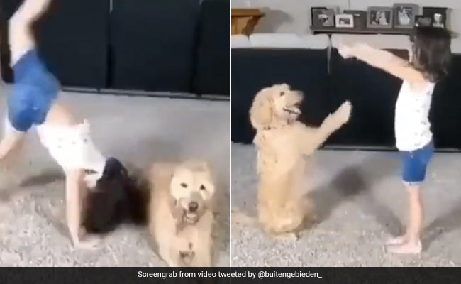 छोटी बच्ची ने पालतू डॉगी संग दिखाए कमाल के करतब, वीडियो देख आप भी रह जाएंगे दंग