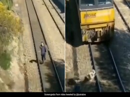 कुत्ते को बचाने के लिए शख्स ने जोखिम मे डाली अपनी जान, वीडियो देख लोगों ने दी खूब दुआए कुत्ते को बचाने के लिए शख्स ने जोखिम मे डाली अपनी जान, वीडियो देख लोगों ने दी खूब दुआए