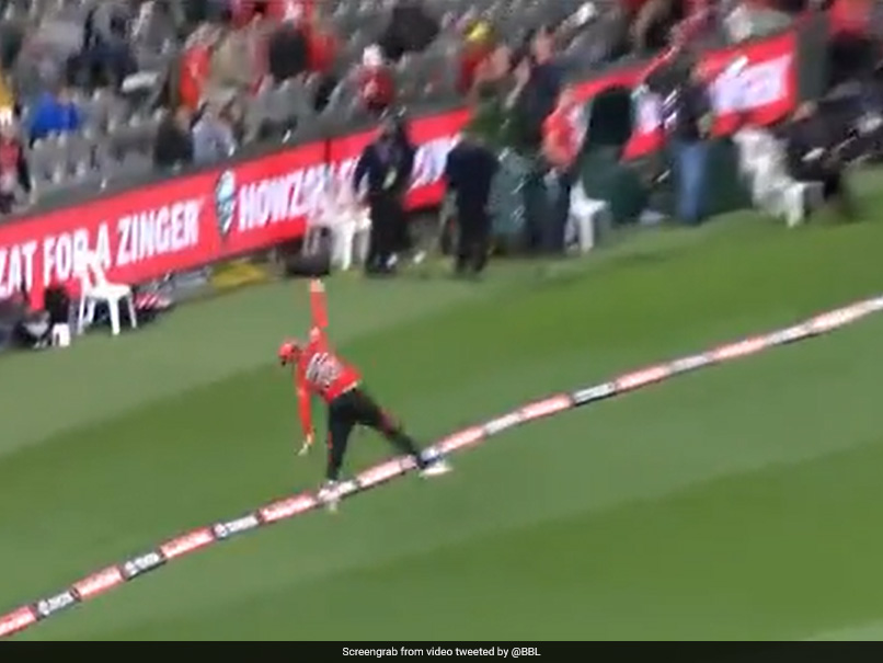 Watch: Australian Teen Jake Fraser-McGurk Takes "Insane" Catch In Big Bash League