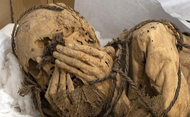 Around 800 Years Old Mummy Found In Man's Bag In Peru