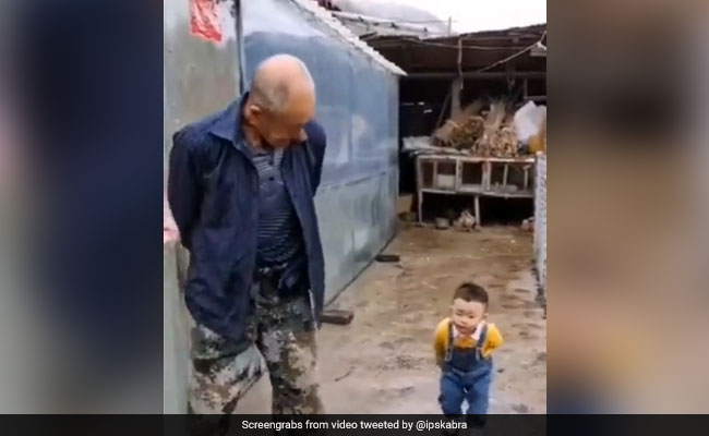 छोटे बच्चे ने साथ चलते हुए बुजुर्ग की उतारी गजब नकल, IPS ने कही ये मज़ेदार बात, Video ने जीता लोगों का दिल
