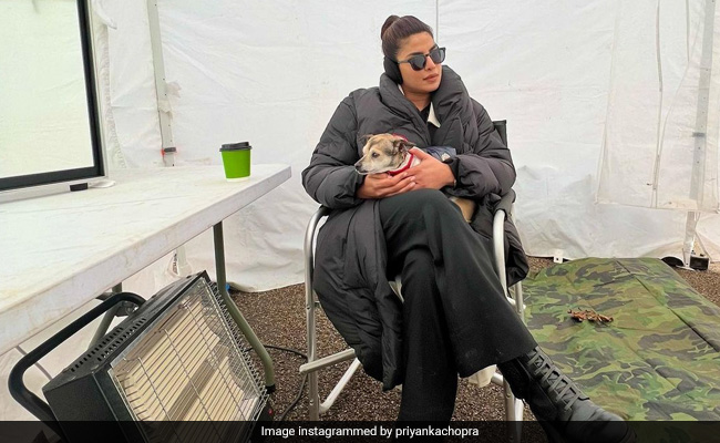 प्रियंका चोपड़ा अपने पेट्स से करती हैं बहुत प्यार, शूटिंग सेट पर डायना, पांडा और गीनो के साथ बिताया समय