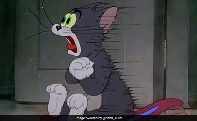 As Cold Wave Sweeps North India, Memes And Jokes Take Over Twitter