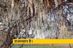 राजस्थान में रिकॉर्ड तोड़ सर्दी, खेतों में बिछी बर्फ की चादर राजस्थान में रिकॉर्ड तोड़ सर्दी, खेतों में बिछी बर्फ की चादर
