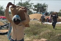 Telangana Government vs Centre: Farmers Caught In Crossfire? Telangana Government vs Centre: Farmers Caught In Crossfire?