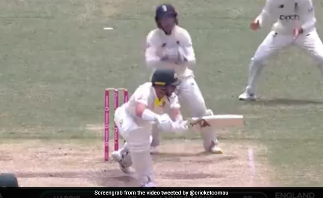 लीच की लड्डू गेंद पर फंसा ऑस्ट्रेलियाई धुरंधर, विश्वास करना हुआ मुश्किल, देखें Video