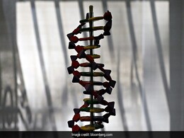 Gene That Increases Risk of Dying From Covid Now Identified Gene That Increases Risk of Dying From Covid Now Identified