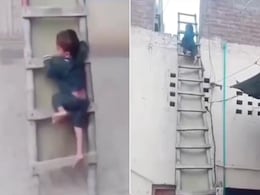 हैरतअंगेज तरीके से सीढ़ियों से उतरा छोटा बच्चा, वीडियो देख चकरा गए लोग हैरतअंगेज तरीके से सीढ़ियों से उतरा छोटा बच्चा, वीडियो देख चकरा गए लोग