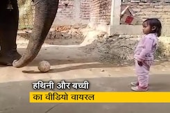 ये दोस्ती हम नहीं छोड़ेंगे! 3 साल की बच्ची की हथिनी से मस्ती ये दोस्ती हम नहीं छोड़ेंगे! 3 साल की बच्ची की हथिनी से मस्ती