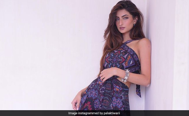 रितु कुमार की ड्रेस में पलक तिवारी ने शेयर कीं तस्वीरें, फैन्स ने पूछा- फिर बिजली गिराने का इरादा है क्या?