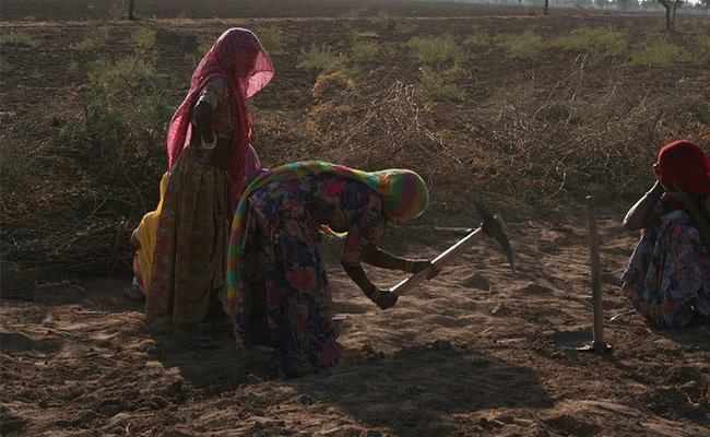 India's Rural Areas Drive Rise In Female Labour Force Participation: Study