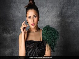 लंबे समय बाद शहनाज गिल की ग्लैमरस तस्वीरें आईं सामने, फैंस बोले- खो गई पुरानी वाली मुस्कान लंबे समय बाद शहनाज गिल की ग्लैमरस तस्वीरें आईं सामने, फैंस बोले- खो गई पुरानी वाली मुस्कान