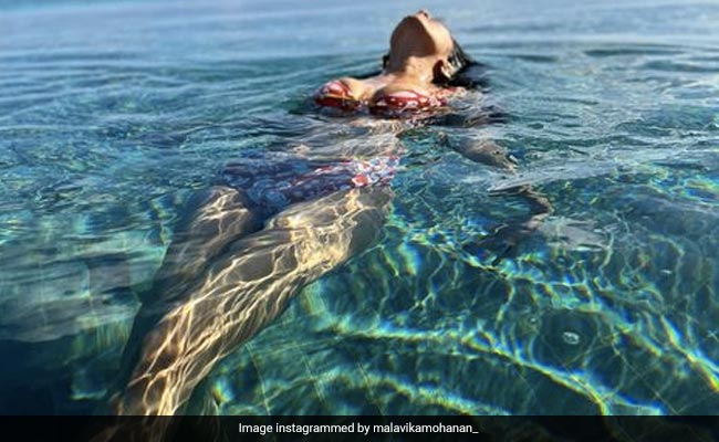 Malavika Mohanan प्रिंटेड बिकिनी में पानी पर जलपरी की तरह तैरती आईं नजर, उनके स्टाइल में ये है सबसे जुदा
