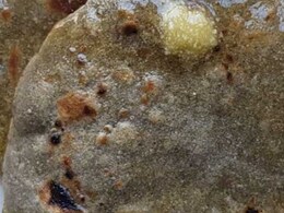 बाजरे की रोटी खाने से कौन सी बीमारी ठीक होती है?