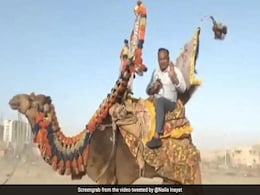चांद नवाब ने मस्त अंदाज में की तूफान की रिपोर्टिंग, वीडियो देख छूट जाएगी हंसी चांद नवाब ने मस्त अंदाज में की तूफान की रिपोर्टिंग, वीडियो देख छूट जाएगी हंसी