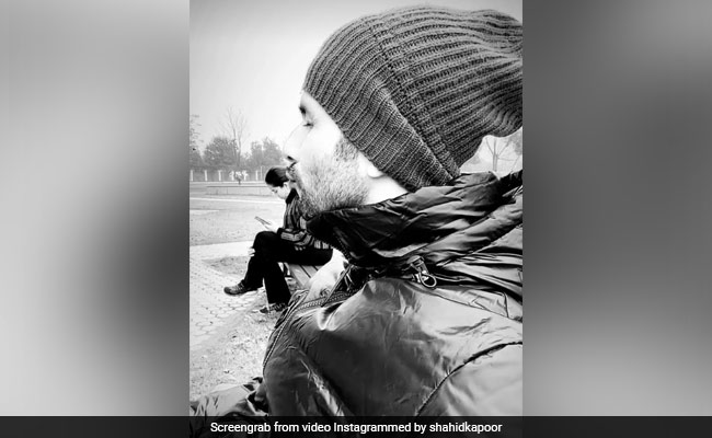 Shahid Kapoor Thinks He Is Mira Rajput's "Second Love". Her Reply