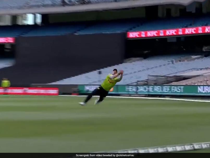 Watch: Daniel Sams Takes Flying Catch To Dismiss Alex Carey In Big Bash League