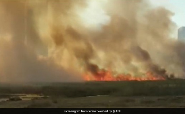 Fire Breaks Out On Plot Reserved For Proposed Metro Carshed In Mumbai