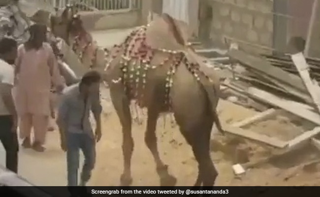 Karma Eventually Catches Up With Everyone. These Videos Are Proof