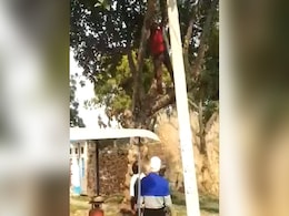 Watch: UP Man Wrestles Official, Another Climbs Tree To Dodge Covid Shot Watch: UP Man Wrestles Official, Another Climbs Tree To Dodge Covid Shot