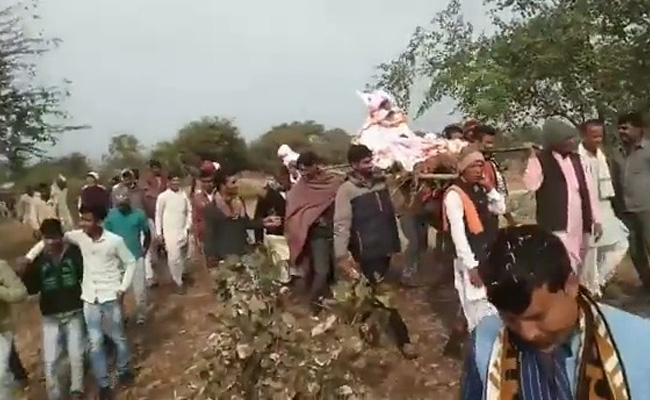 1,500 Attend Monkey's Funeral Feast In Madhya Pradesh Amid Covid Spike