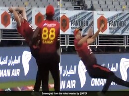 LLC: पीटरसन का हैरतअंगेज करतब, 'सुपरमैन' बनकर मुश्किल कैच को बना दिया 'लॉलीपॉप कैच '- Video LLC: पीटरसन का हैरतअंगेज करतब, 'सुपरमैन' बनकर मुश्किल कैच को बना दिया 'लॉलीपॉप कैच '- Video