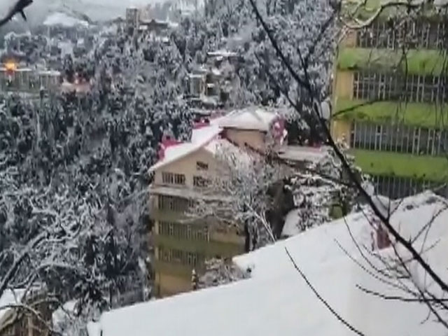 Himachal's Shimla Receives First Snowfall Of 2022