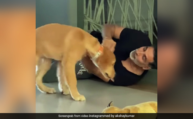 अक्षय कुमार का फनी वीडियो वायरल, डॉग के साथ जमीन पर यूं लेटकर खेलते आए नजर 