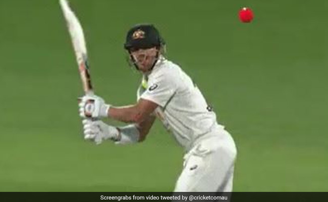 Watch: David Warner Registers Pair Courtesy "Flying" Ollie Pope In 5th Ashes Test Against England