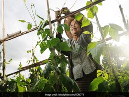 Healthy Lifestyle: इन 10 देशों के लोग जीते हैं दुनिया में सबसे लंबी उम्र, आप इनकी लाइफस्टाइल जानेंगे तो दंग रह जाएंगे Healthy Lifestyle: इन 10 देशों के लोग जीते हैं दुनिया में सबसे लंबी उम्र, आप इनकी लाइफस्टाइल जानेंगे तो दंग रह जाएंगे