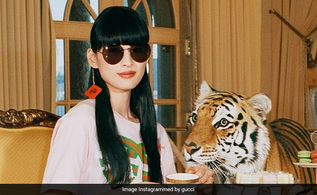 Gucci pet tiger Outlet