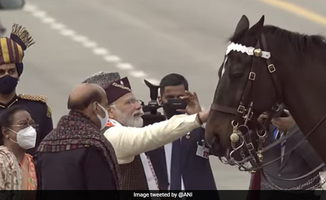 Virat, Elite Horse Of President's Guard, Retires; Gets Pat From President, PM