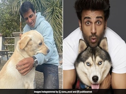 Dog Lover Celebrities: ये सेलिब्रिटीज हैं डॉग लवर, करते हैं अपने डॉगी से बेहद प्यार Dog Lover Celebrities: ये सेलिब्रिटीज हैं डॉग लवर, करते हैं अपने डॉगी से बेहद प्यार