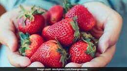 "It's Strawberry Season": Shilpa Shetty Shares Benefits Of The Delicious Plump Red Fruit