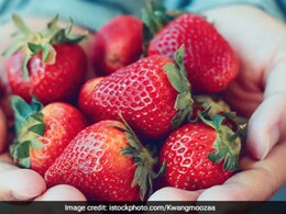 "It's Strawberry Season": Shilpa Shetty Shares Benefits Of The Delicious Plump Red Fruit