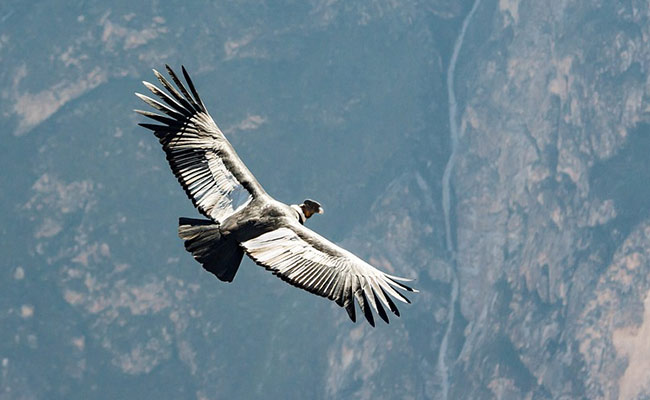 Anand Mahindra Shares Video That Captured His "Hopes" For 2022