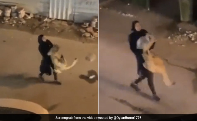 Watch: Woman Carries Struggling Lion In Arms. Shocking Video Is Viral