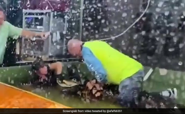 केयरटेकर को पानी में खींचकर ले गया खतरनाक मगरमच्छ, दूसरे शख्स ने आकर बचाई जान...देखें वीडियो