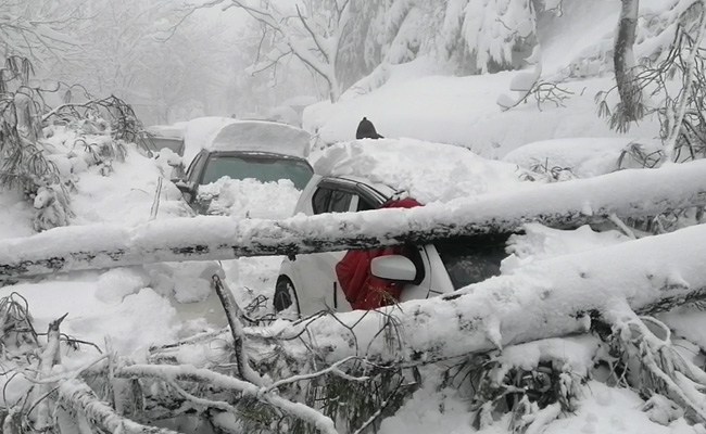 Trapped In Vehicles After Snowstorm, 22 People Die In Pakistan