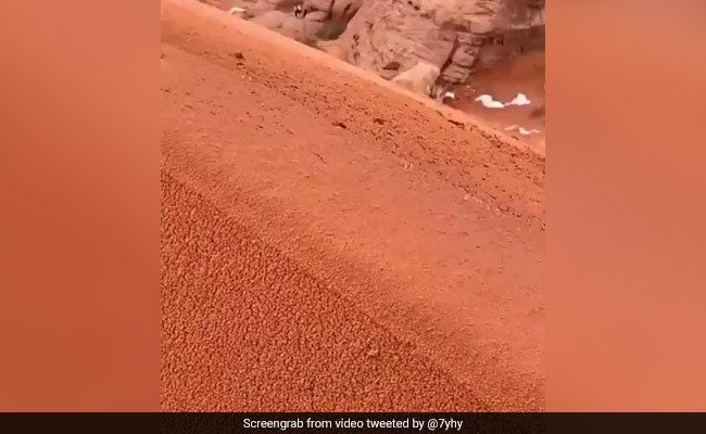 सऊदी अरब के रेगिस्तान में दिखा बर्फ, वीडियो देख लोगों ने कहा- ये तो कमाल हो गया!