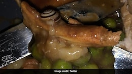 UK Woman Finds Snail In Restaurant's Dinner Meal, Twitter Is Disgusted