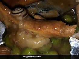 UK Woman Finds Snail In Restaurant's Dinner Meal, Twitter Is Disgusted UK Woman Finds Snail In Restaurant's Dinner Meal, Twitter Is Disgusted