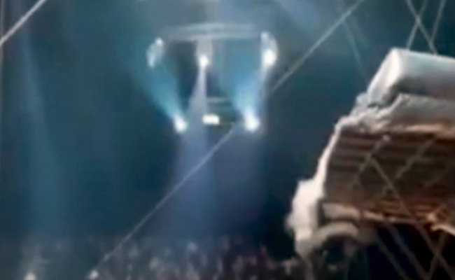 खतरनाक स्टंट के दौरान सर्कस में हुआ हादसा, हवा में परफॉर्म करते हुए ऊंचाई से गिरा शख्स और फिर...