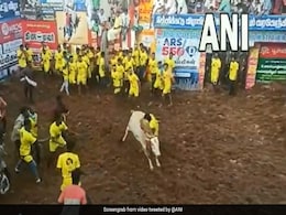 Cop Injured As Tamil Nadu's Bull-Taming Sport Jallikattu Hikes Covid Fear Cop Injured As Tamil Nadu's Bull-Taming Sport Jallikattu Hikes Covid Fear