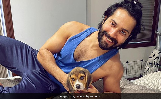 Varun Dhawan's Throwback Pic With His Pet Pooch Joey Is Just Too Cute